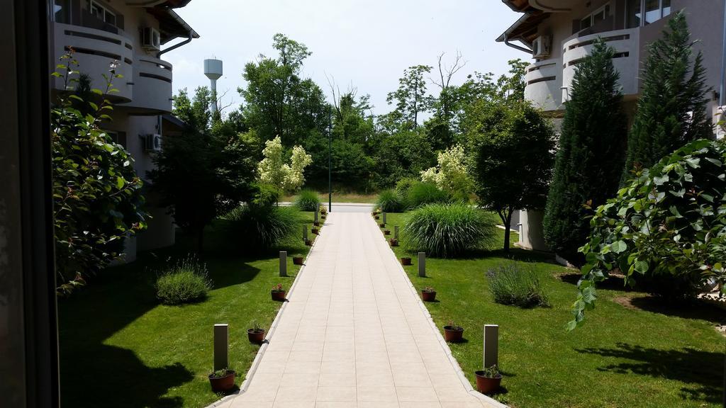 Vila Dincic Doo Veliko Gradište エクステリア 写真