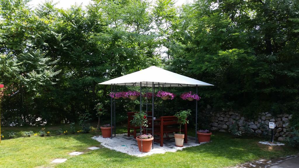 Vila Dincic Doo Veliko Gradište エクステリア 写真